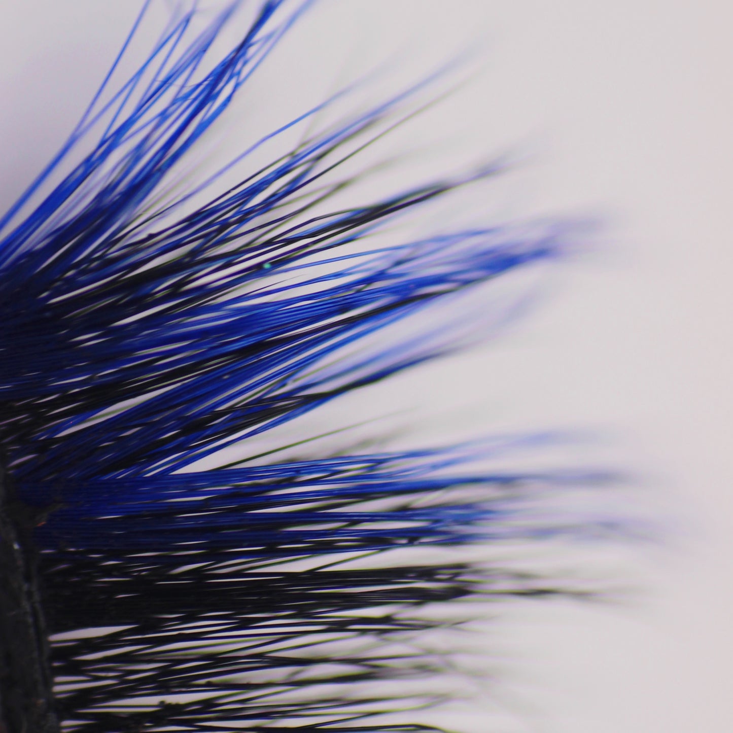 RESPAWN Lashes
