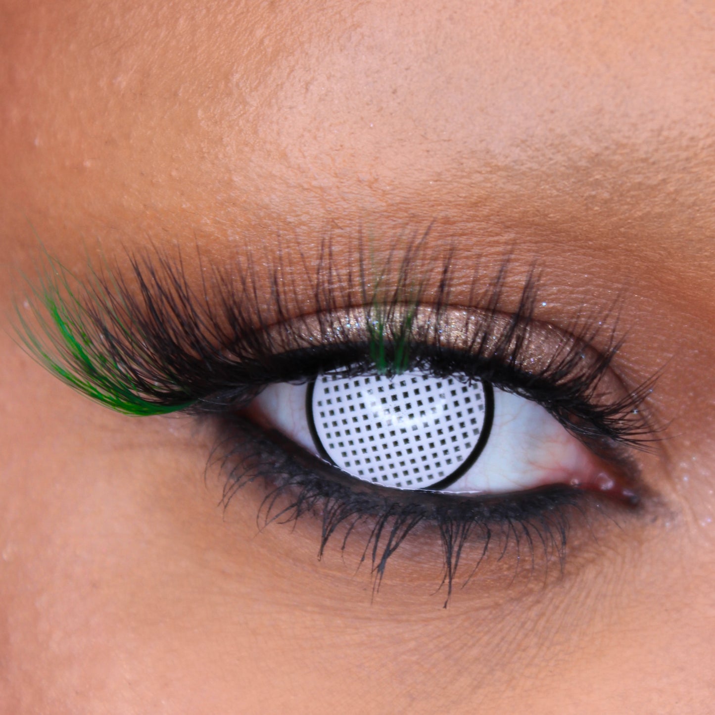 DOWNLOAD Lashes